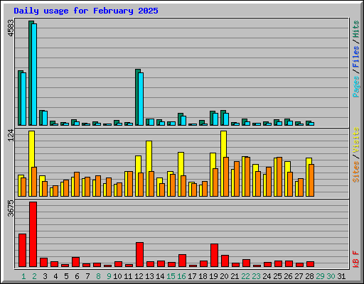 Daily usage for February 2025