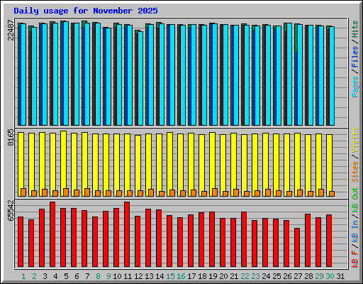 Daily usage for November 2025