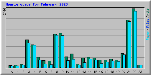 Hourly usage for February 2025