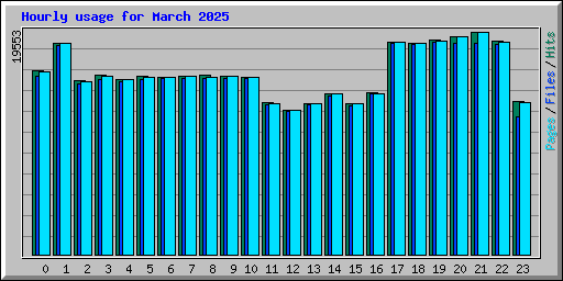 Hourly usage for March 2025