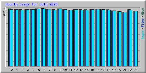 Hourly usage for July 2025