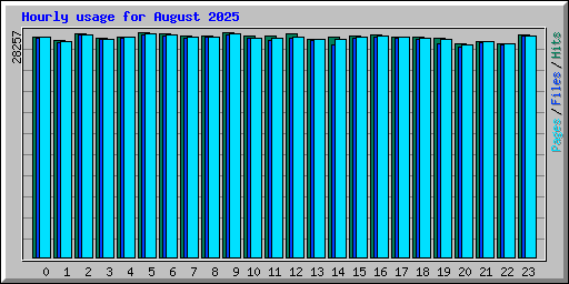 Hourly usage for August 2025