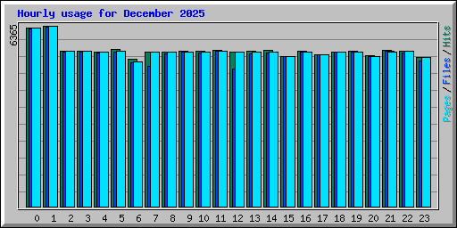 Hourly usage for December 2025