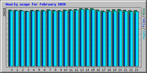 Hourly usage for February 2026